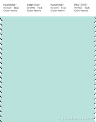 PANTONE SMART 12-5409X Color Swatch Card, Fair Aqua