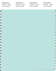 PANTONE SMART 12-5410X Color Swatch Card, Bleached Aqua