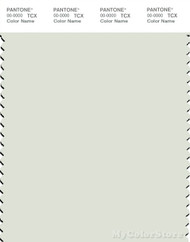 PANTONE SMART 12-6207X Color Swatch Card, Frost