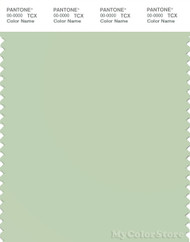 PANTONE SMART 13-0111X Color Swatch Card, Seacrest