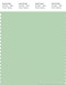 PANTONE SMART 13-0116X Color Swatch Card, Pastel Green