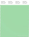 PANTONE SMART 13-0117X Color Swatch Card, Green Ash