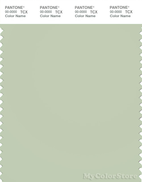 PANTONE SMART 13-0210X Color Swatch Card, Fog Green
