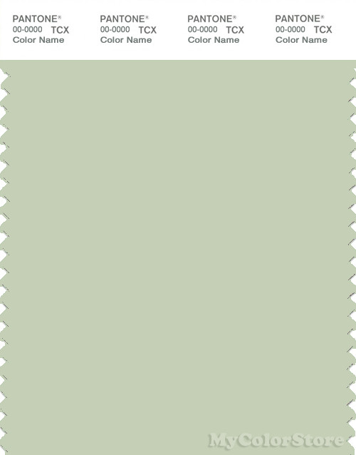 PANTONE SMART 13-0212X Color Swatch Card, Very Pale Green
