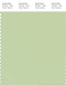 PANTONE SMART 13-0215X Color Swatch Card, Reed