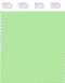 PANTONE SMART 13-0220X Color Swatch Card, Paradise Green