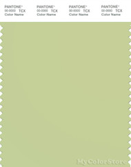 PANTONE SMART 13-0317X Color Swatch Card, Lily Green