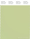 PANTONE SMART 13-0317X Color Swatch Card, Lily Green