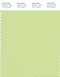 PANTONE SMART 13-0319X Color Swatch Card, Shadow Lime