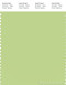 PANTONE SMART 13-0324X Color Swatch Card, Lettuce Green