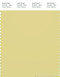 PANTONE SMART 13-0333X Color Swatch Card, Lima Bean