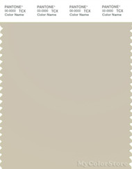 PANTONE SMART 13-0401X Color Swatch Card, Oatmeal