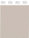 PANTONE SMART 13-0403X Color Swatch Card, Gray Morn