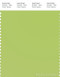 PANTONE SMART 13-0442X Color Swatch Card, Green Glow