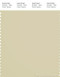 PANTONE SMART 13-0513X Color Swatch Card, Frozen Dew