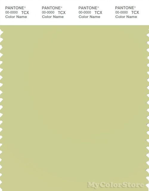 PANTONE SMART 13-0522X Color Swatch Card, Pale Green