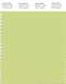 PANTONE SMART 13-0530X Color Swatch Card, Lime Sherbet