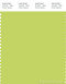 PANTONE SMART 13-0540X Color Swatch Card, Wild Lime
