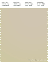 PANTONE SMART 13-0607X Color Swatch Card, Fog