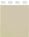 PANTONE SMART 13-0607X Color Swatch Card, Fog