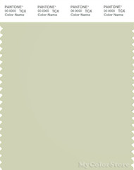PANTONE SMART 13-0608X Color Swatch Card, Aloe Wash
