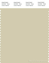 PANTONE SMART 13-0611X Color Swatch Card, Moth