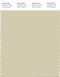 PANTONE SMART 13-0611X Color Swatch Card, Moth