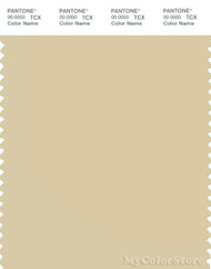 PANTONE SMART 13-0613X Color Swatch Card, Light Chartreuse