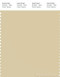 PANTONE SMART 13-0613X Color Swatch Card, Light Chartreuse