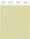 PANTONE SMART 13-0614X Color Swatch Card, Garden Glade