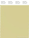 PANTONE SMART 13-0624X Color Swatch Card, Golden Mist