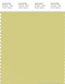PANTONE SMART 13-0632X Color Swatch Card, Endive