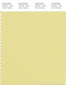 PANTONE SMART 13-0633X Color Swatch Card, Chardonnay