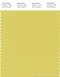 PANTONE SMART 13-0640X Color Swatch Card, Acacia