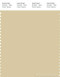 PANTONE SMART 13-0715X Color Swatch Card, Sea Mist