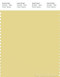 PANTONE SMART 13-0720X Color Swatch Card, Custard