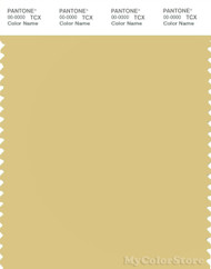 PANTONE SMART 13-0725X Color Swatch Card, Raffia