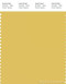 PANTONE SMART 13-0739X Color Swatch Card, Cream Gold