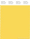 PANTONE SMART 13-0756X Color Swatch Card, Lemon Zest