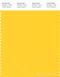 PANTONE SMART 13-0758X Color Swatch Card, Dandelion