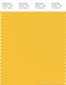 PANTONE SMART 13-0759X Color Swatch Card, Solar Power