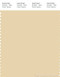 PANTONE SMART 13-0815X Color Swatch Card, Banana Crepe