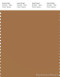 PANTONE SMART 17-1134X Color Swatch Card, Brown Sugar