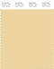 PANTONE SMART 13-0822X Color Swatch Card, Sunlight
