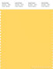 PANTONE SMART 13-0850X Color Swatch Card, Aspen Gold