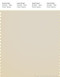 PANTONE SMART 13-0905X Color Swatch Card, Birch