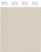 PANTONE SMART 13-0907X Color Swatch Card, Sandshell