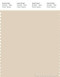 PANTONE SMART 13-0908X Color Swatch Card, Parchment