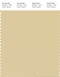 PANTONE SMART 13-0915X Color Swatch Card, Reed Yellow