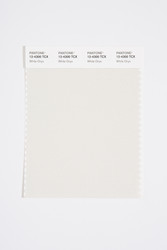 Pantone Smart 12-4300 TCX Color Swatch Card, White Onyx